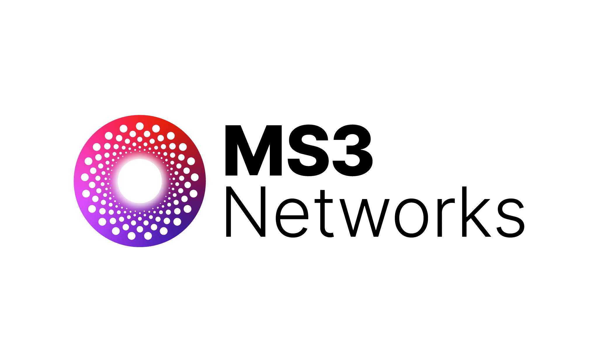 MS3 Networks